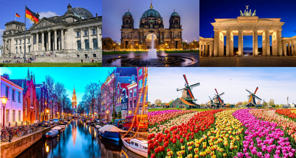 Stomatolog.png Stomatolog.png